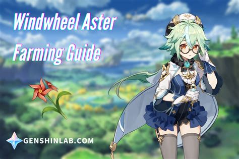 genshin windwheel aster farming.